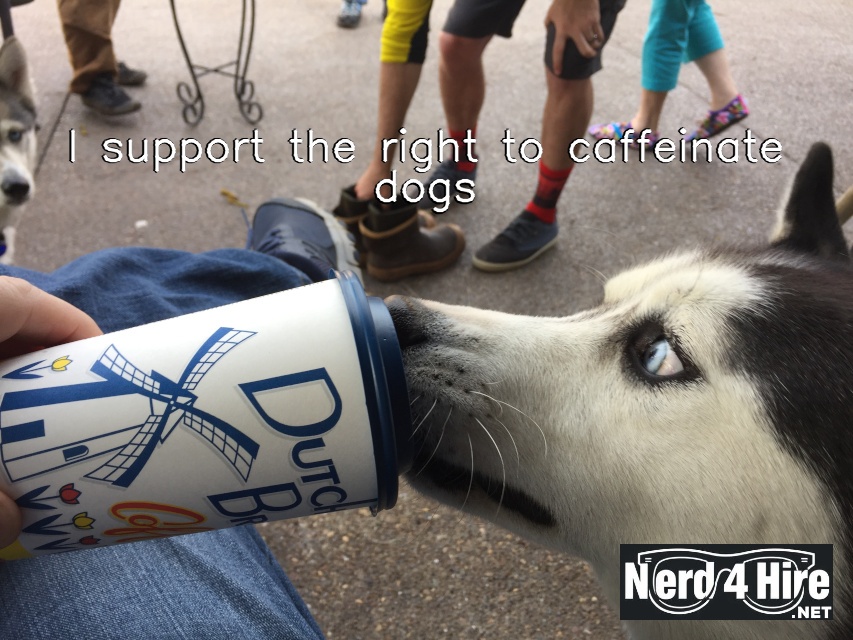 random_max_moment - Nerd 4 Hire LLC I support the right to caffeinate dogs